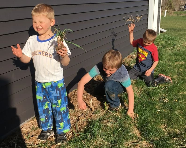 Time to Prep the Garden!